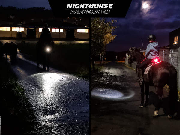 Reitleuchte Reitlicht Reitlampe Pferdelicht Pferd Beleuchtung Pferdeleuchte