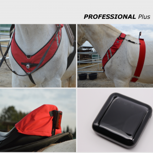 PATHFINDER Professional Plus (zum Reiten und Führen)