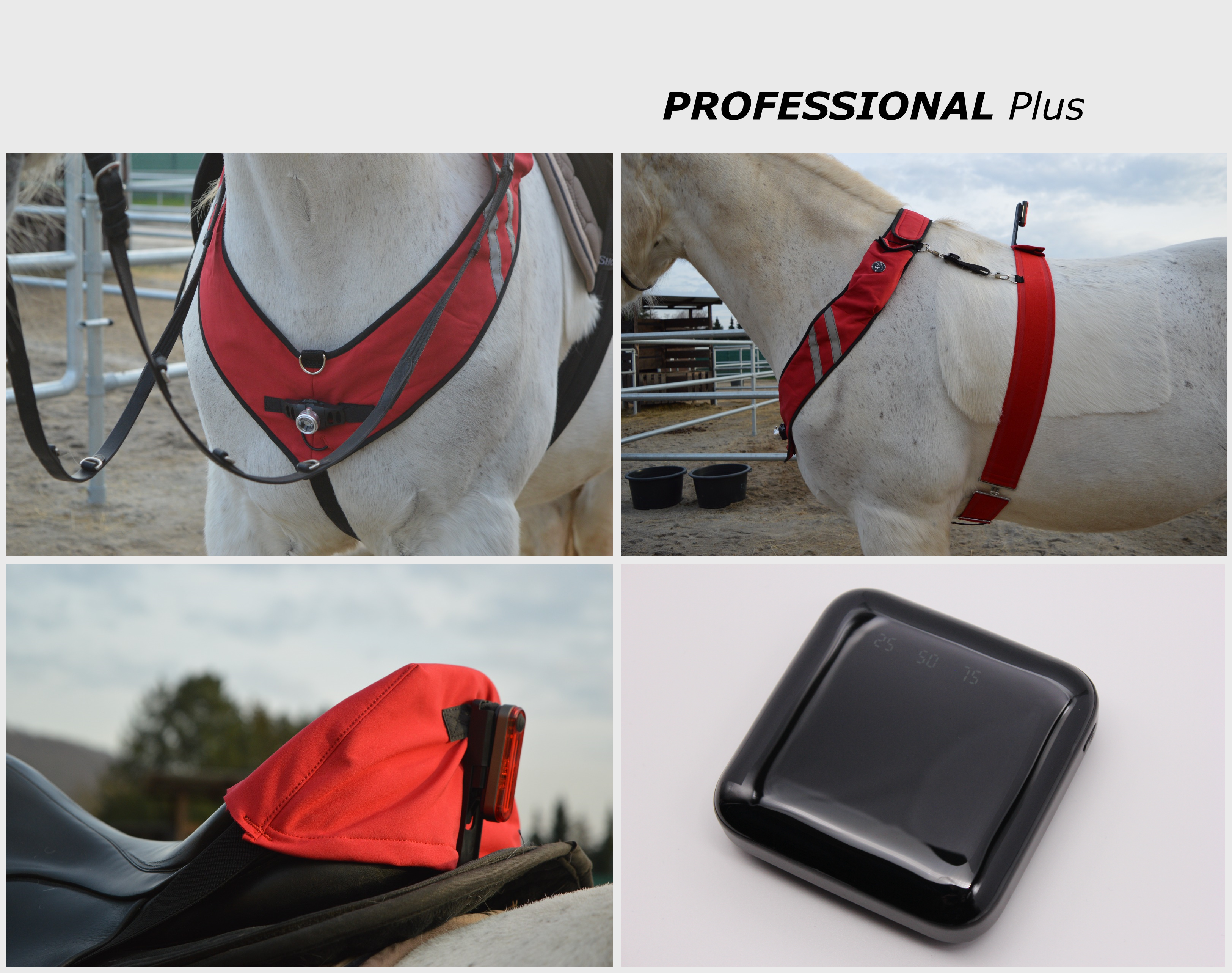 Nighthorse Pathfinder Professional Plus / Reitleuchte / Pferdelicht / Pferdelampe / Reitleuchtsystem