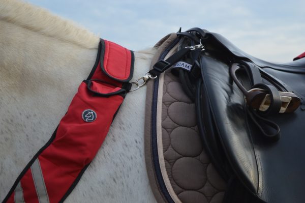PATHFINDER Professional (zum Reiten) – Bild 4