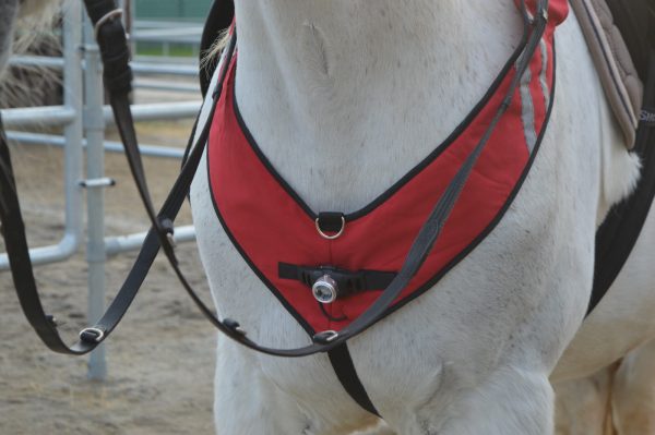 PATHFINDER Professional (zum Reiten) – Bild 3