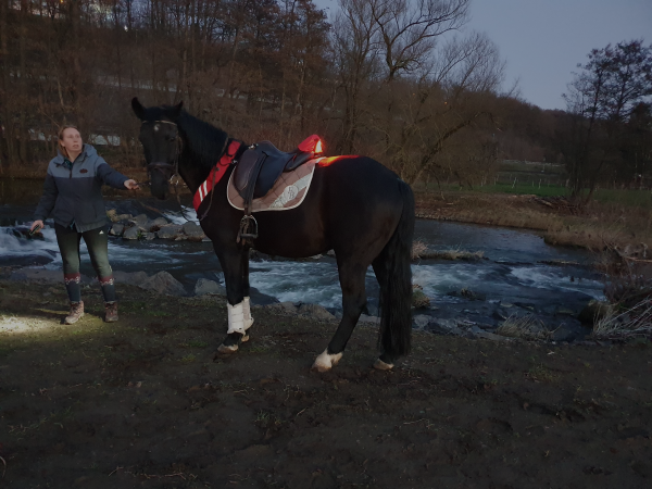 PATHFINDER Professional (zum Reiten) – Bild 7