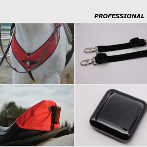 PATHFINDER Professional (zum Reiten)