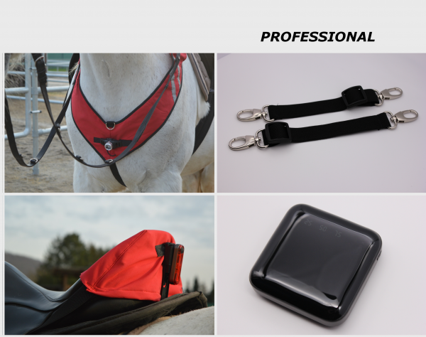 Nighthorse Pathfinder Professional / Reitleuchte / Pferdelicht / Pferdelampe / Reitleuchtsystem